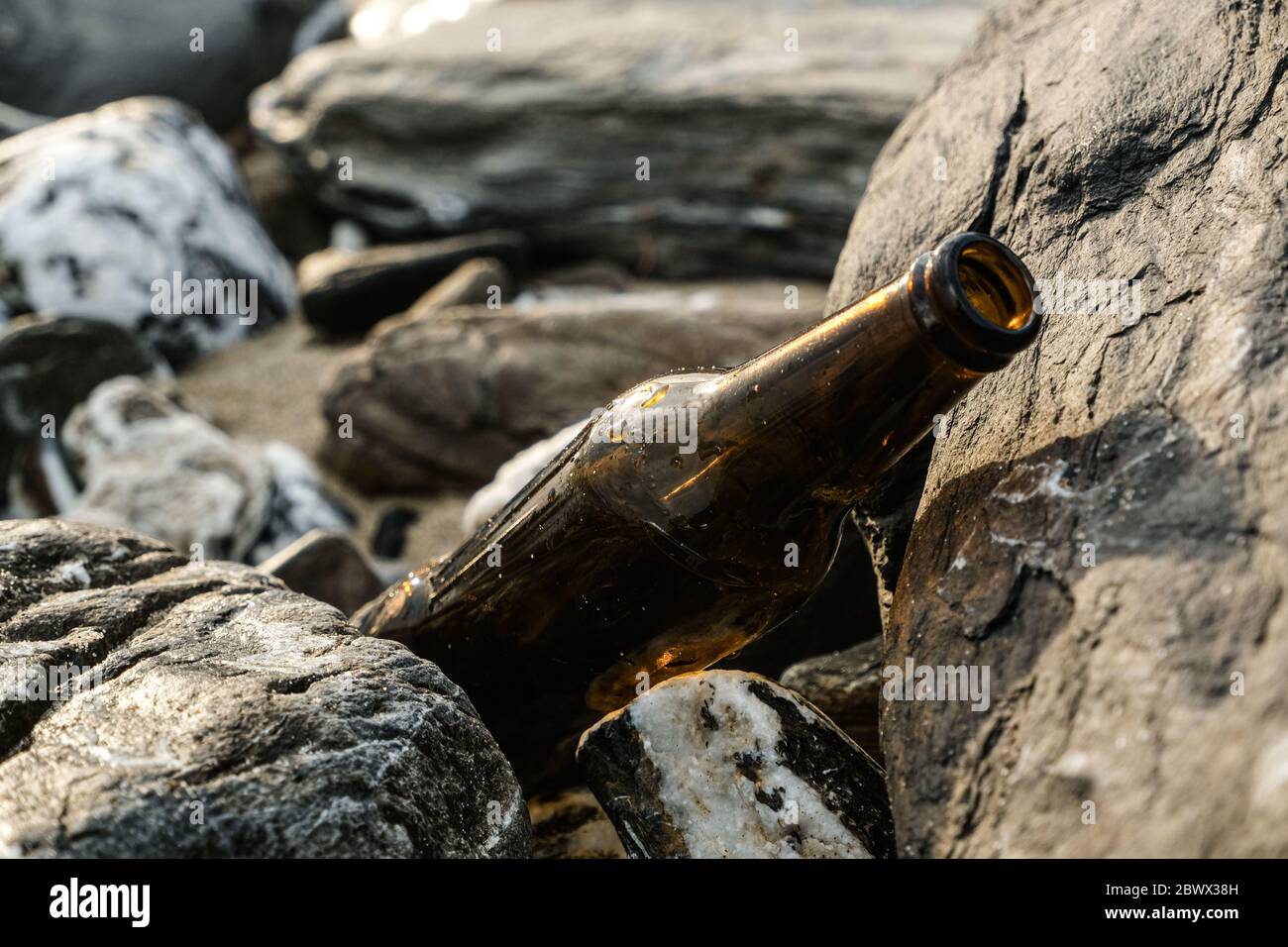 Empty glass beer bottle on rocky sea shore,polluted coast in cilento,italy Stock Photo