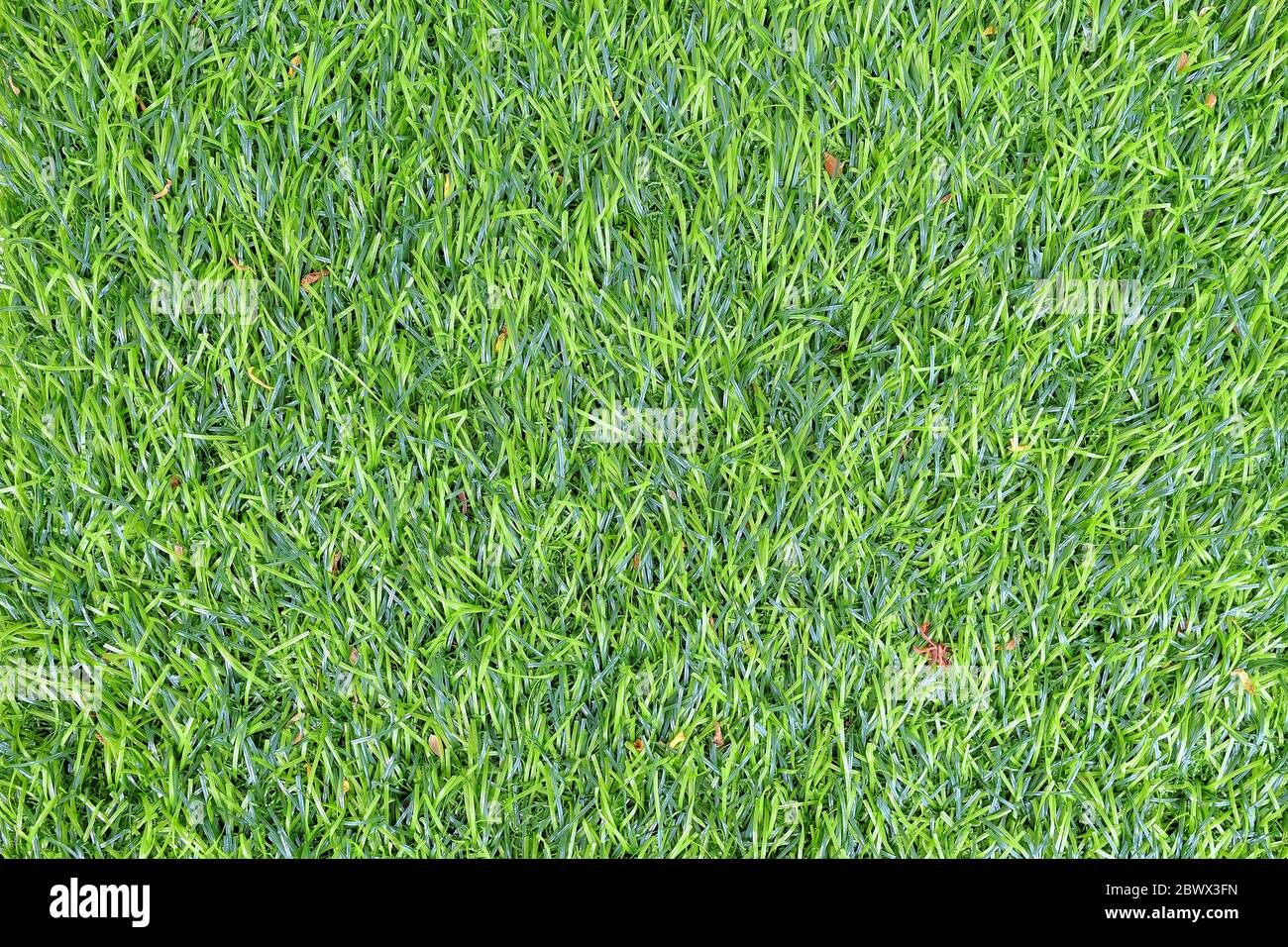 Green Artificial Grass Texture Background Stock Photo - Alamy