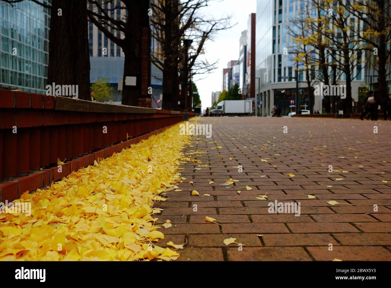 Falling Ginkgo Leaves on the Side Way in the Big City Background Stock ...