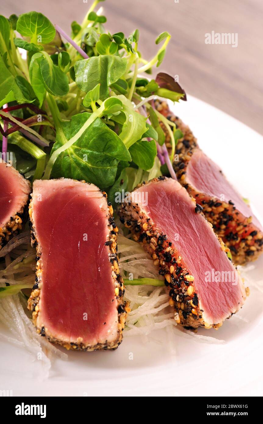 Seared tuna coated sesame seeds with green salad on white plate Stock
