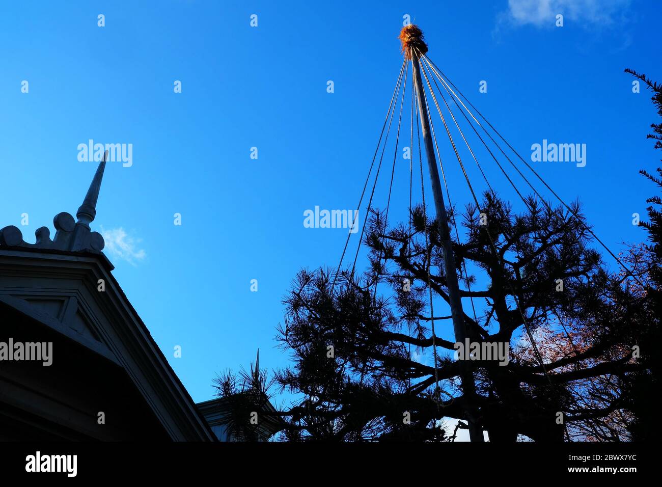 Japanese tree protection hi-res stock photography and images - Alamy
