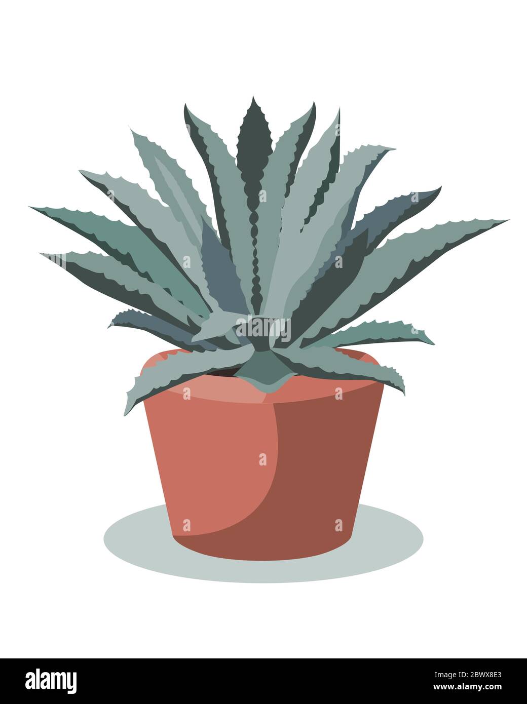 Blue Agave plant in a flower pot, vector illustration Stock Vector