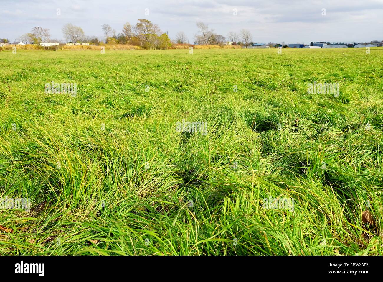 Plain background scene hi-res stock photography and images - Alamy