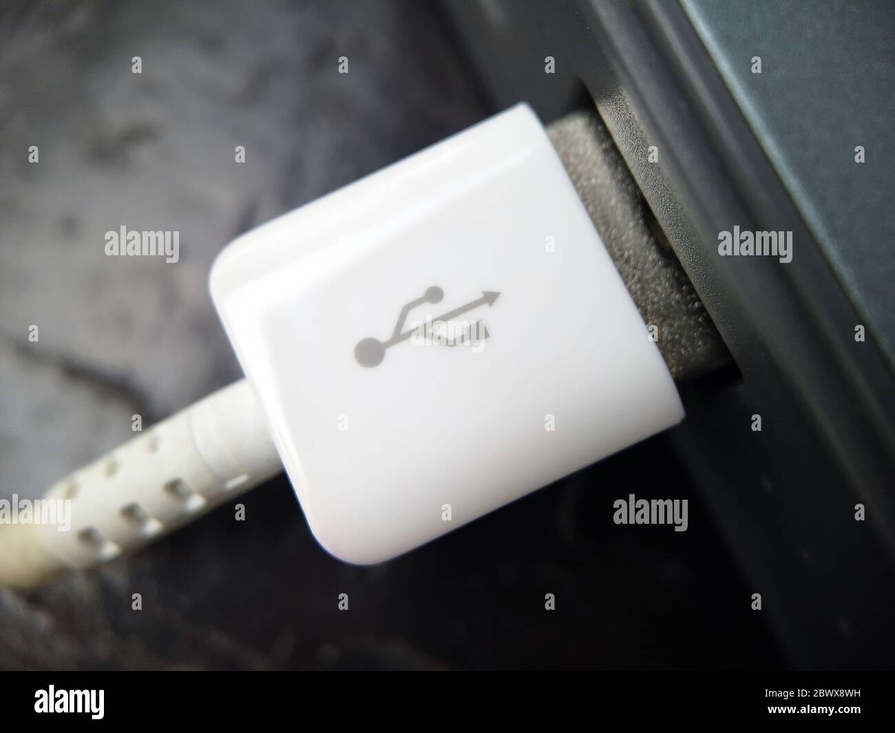 Close up USB Type C Plug in Power Bank Stock Photo Alamy