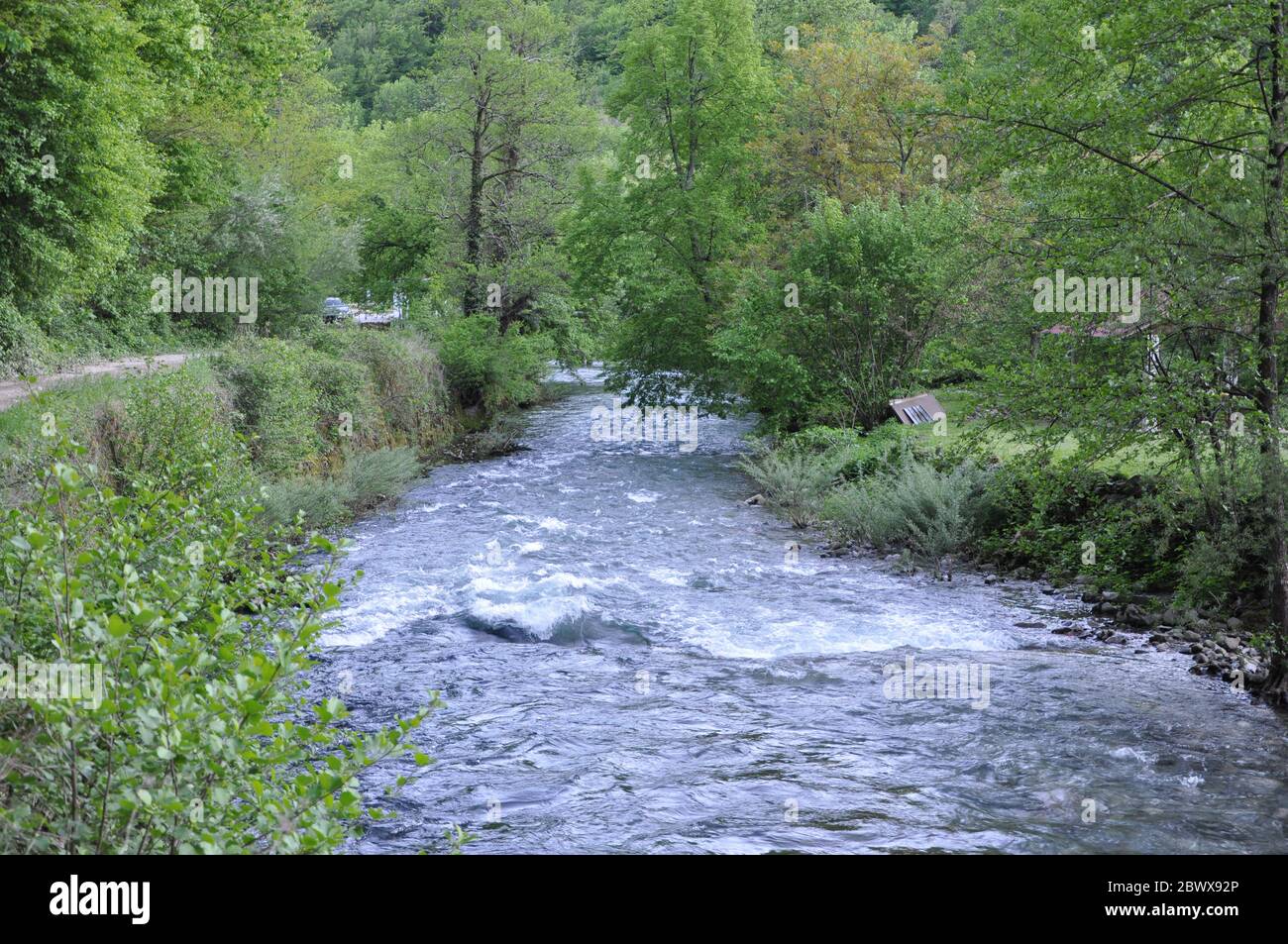 Green Grass River Bank High Resolution Stock Photography and Images - Alamy