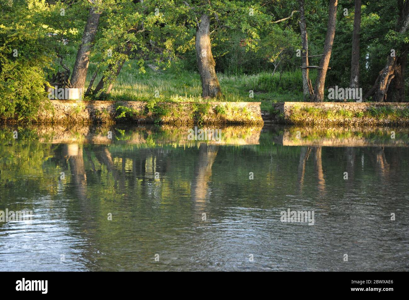calm river environment background. Zen meditation landscape. Calm and spiritual nature environment. Stock Photo