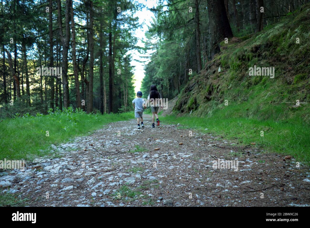 Children exploring woodland in UK Stock Photo