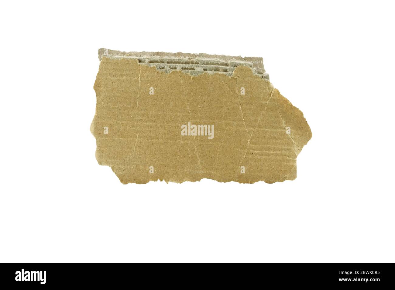 Torn Cardboard Piece Isolated on White Background. Stock Photo