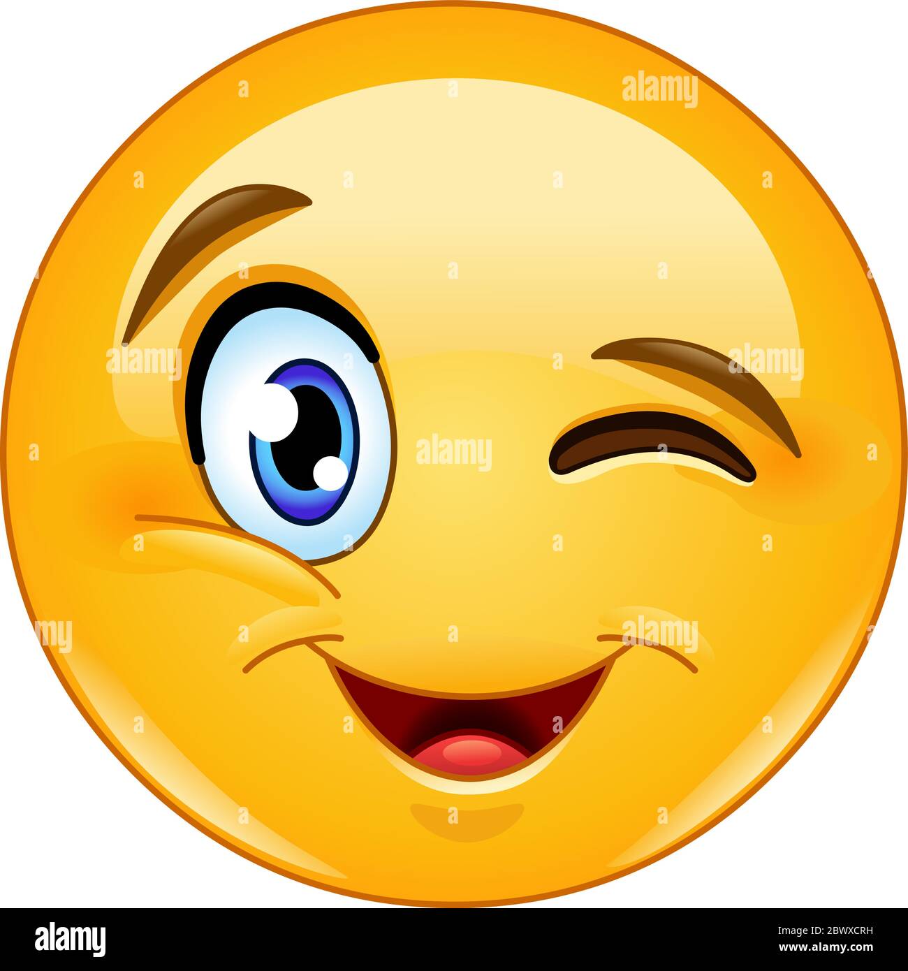 Winking and smiling emoticon Stock Vector