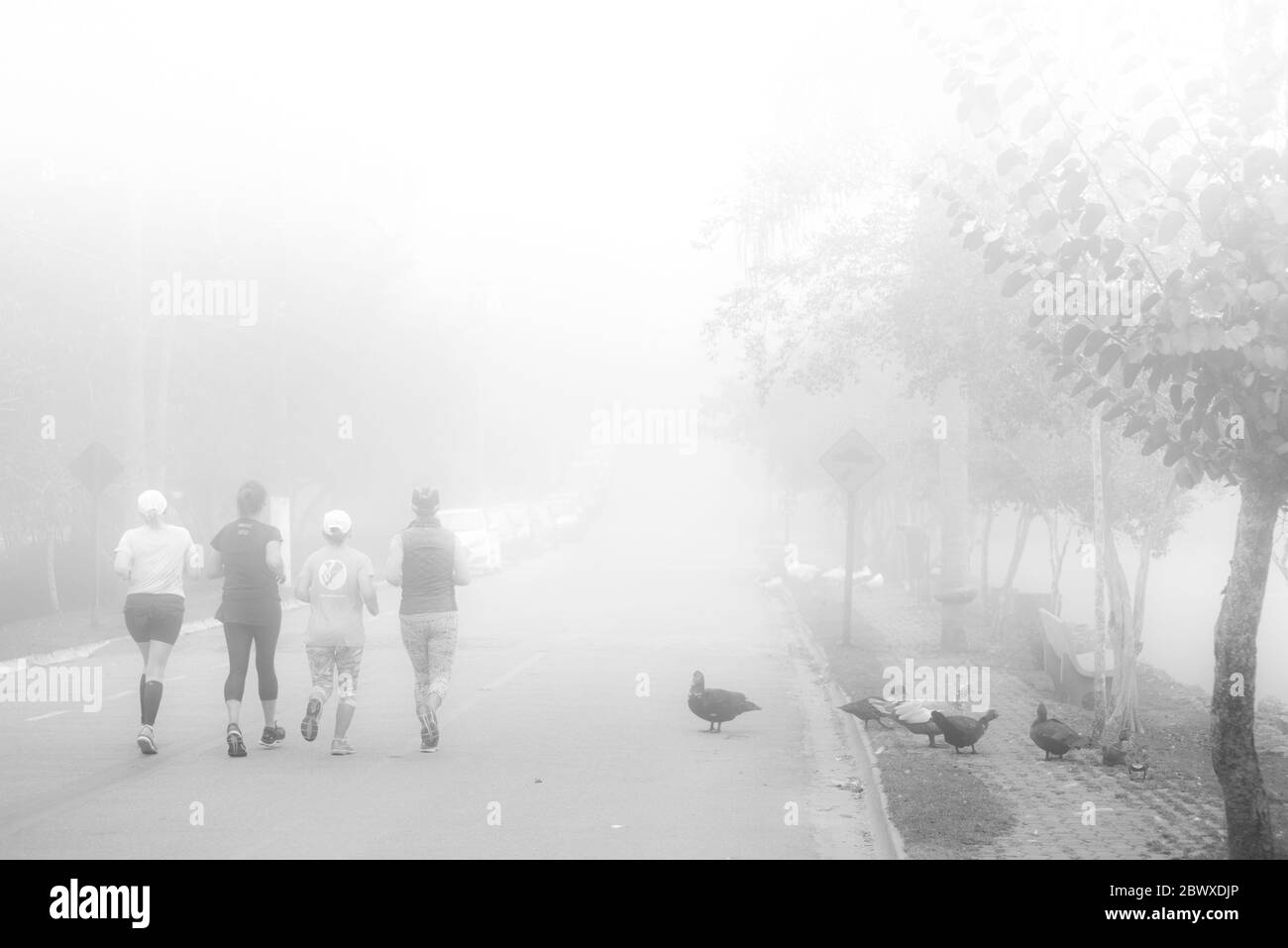 Amateur athletes running in a foggy and calm morning Stock Photo