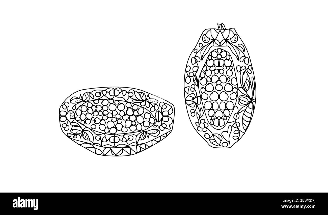 whole and half papaya with floral ornament in doodle style on a white background coloring page Stock Vector