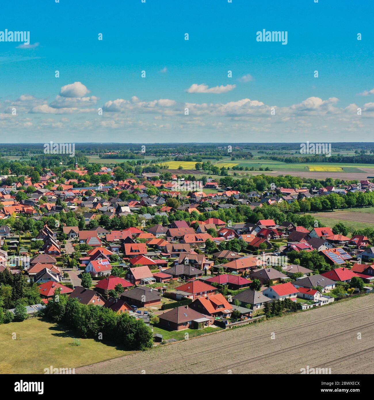 Aerial view of a new housing estate with detached houses at the edge of a village Stock Photo