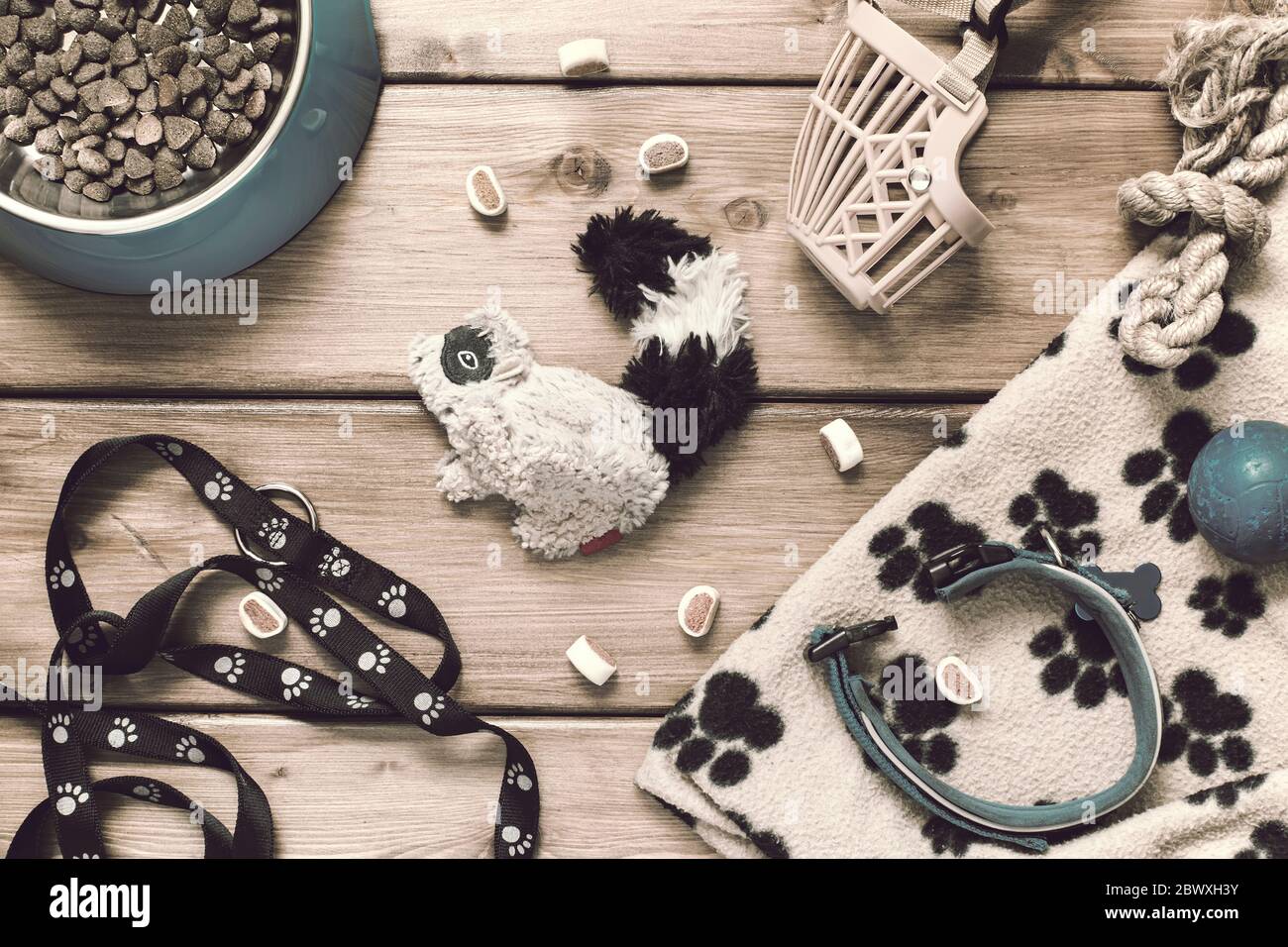 Pets accessories - collar, leash, muzzle, food bowl, toys, mat on a wooden background in vintage style. Flat lay Stock Photo