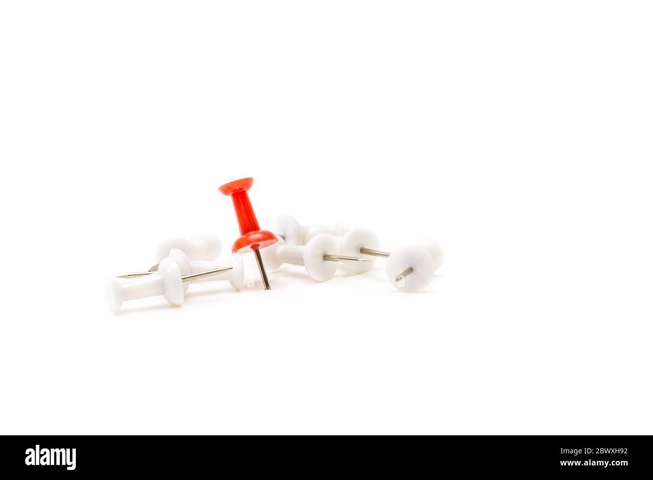 Red pin pinned on white paper and white pins lay down on the floor, only the strong can survive concept Stock Photo