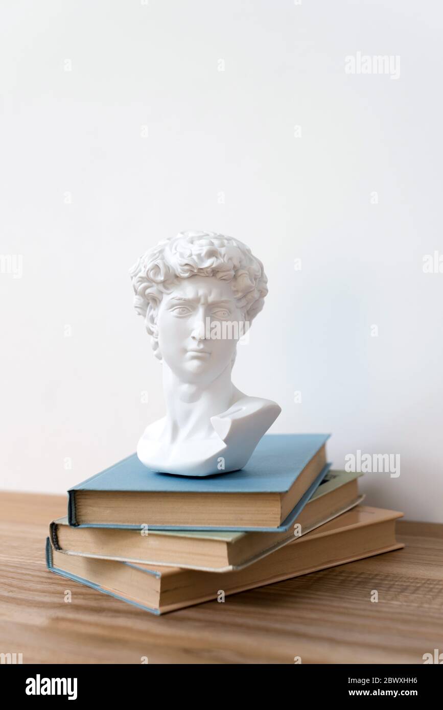 Gypsum statue of David's head on a bookshelf. Michelangelo's David