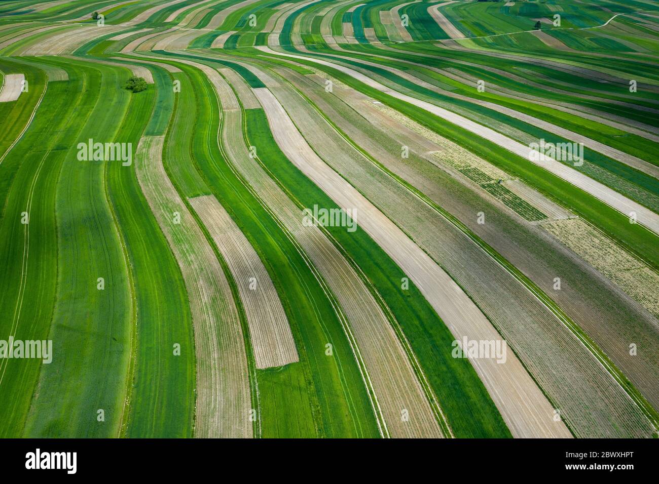 Poland from above. Aerial view of green agricultural fields and village. Landscape with fields of Poland. Typical polish landscape. Stock Photo