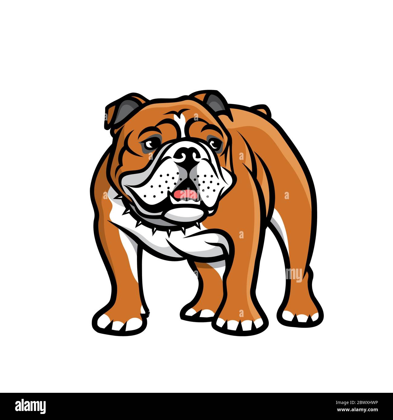 English bulldog - isolated vector illustration Stock Photo