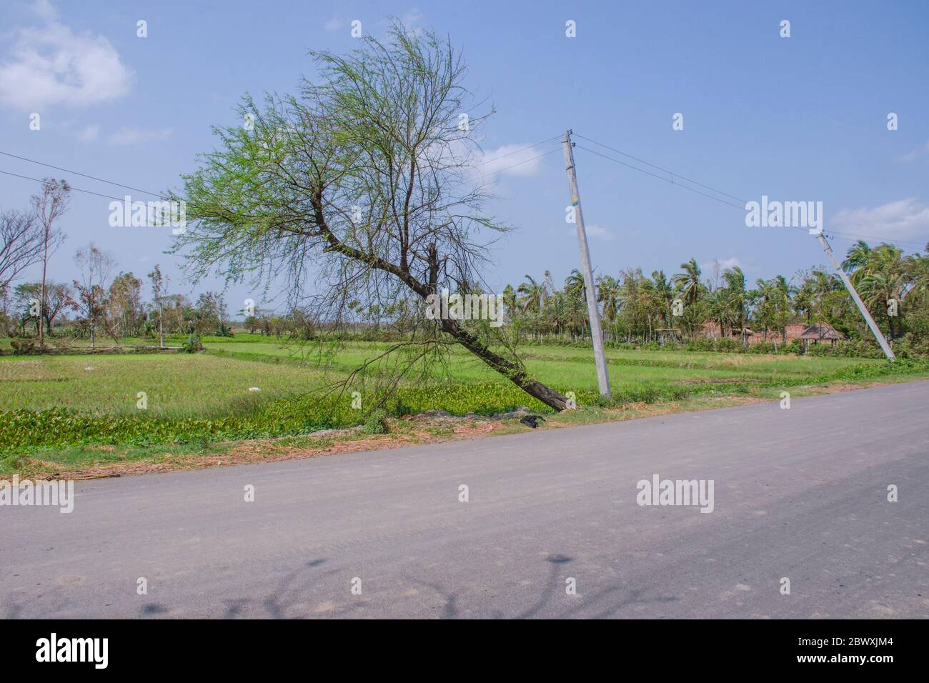 After effects of super cyclone amphan at south 24 pargana west bengal Stock Photo