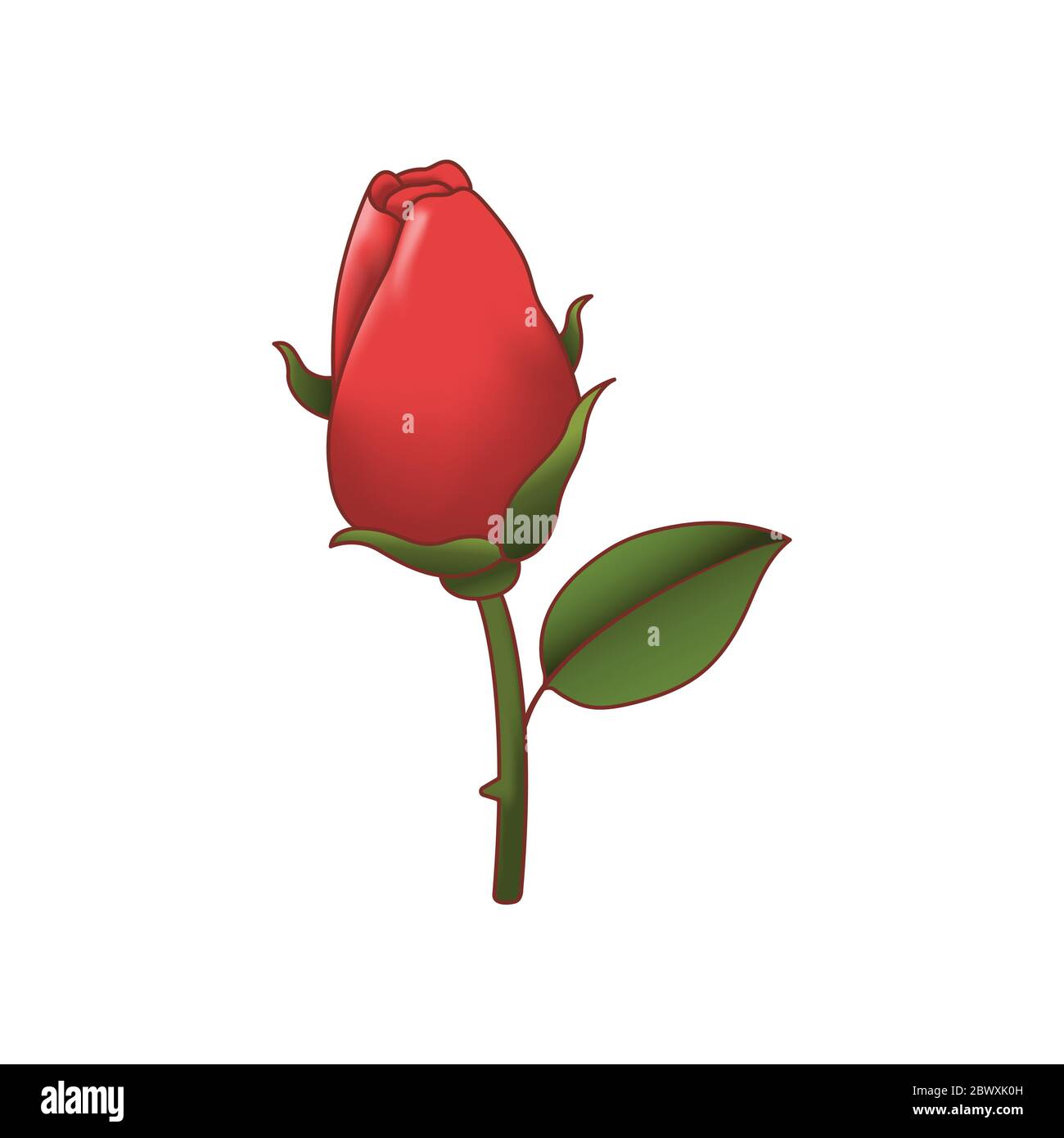 Red rose isolated. Vector illustration Stock Vector Image & Art - Alamy