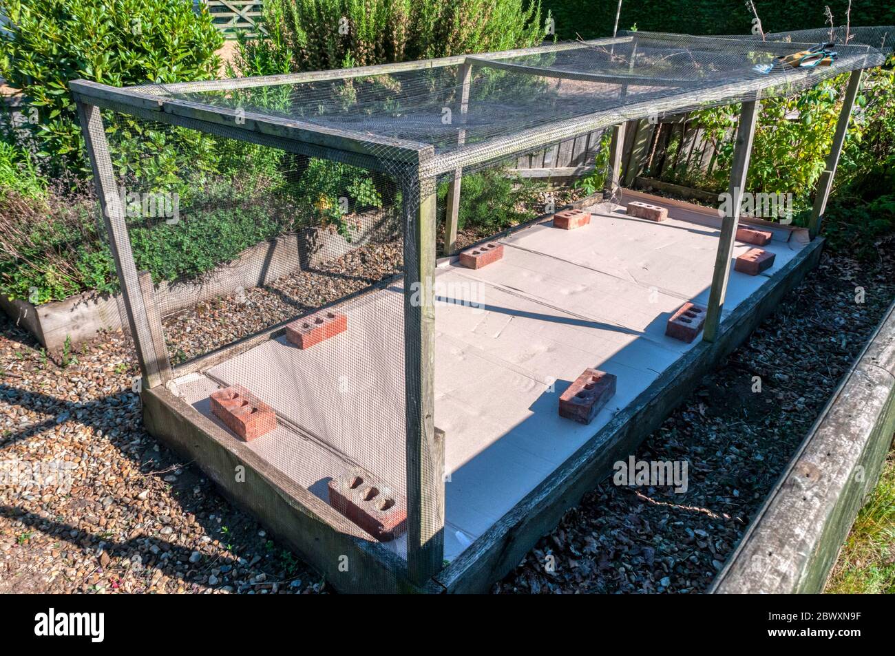 Cardboard, weighed down with bricks, fitted over soil in bottom of fruit cage to suppress weeds. Stock Photo