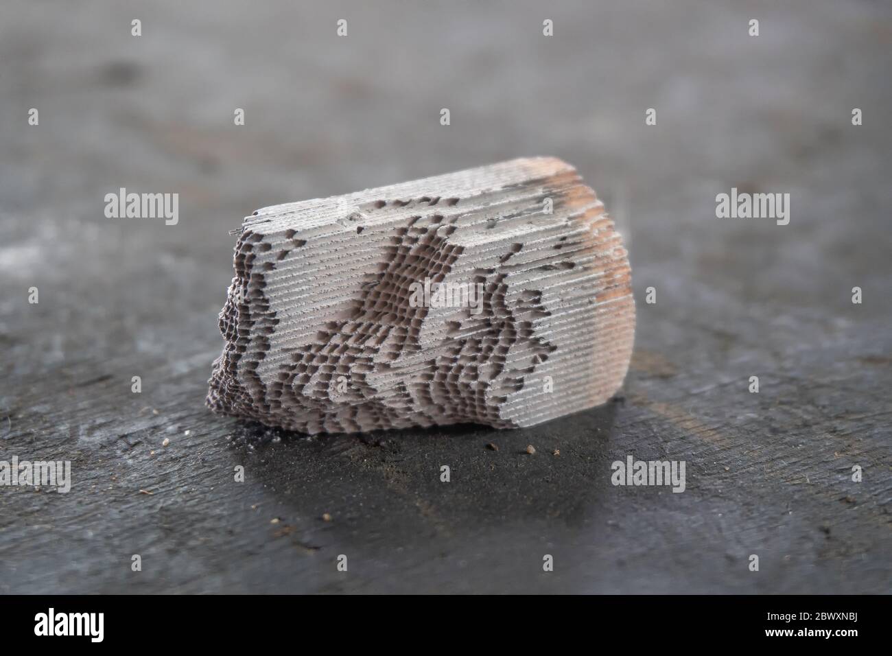 The core of each catalytic converter is an internal ceramic