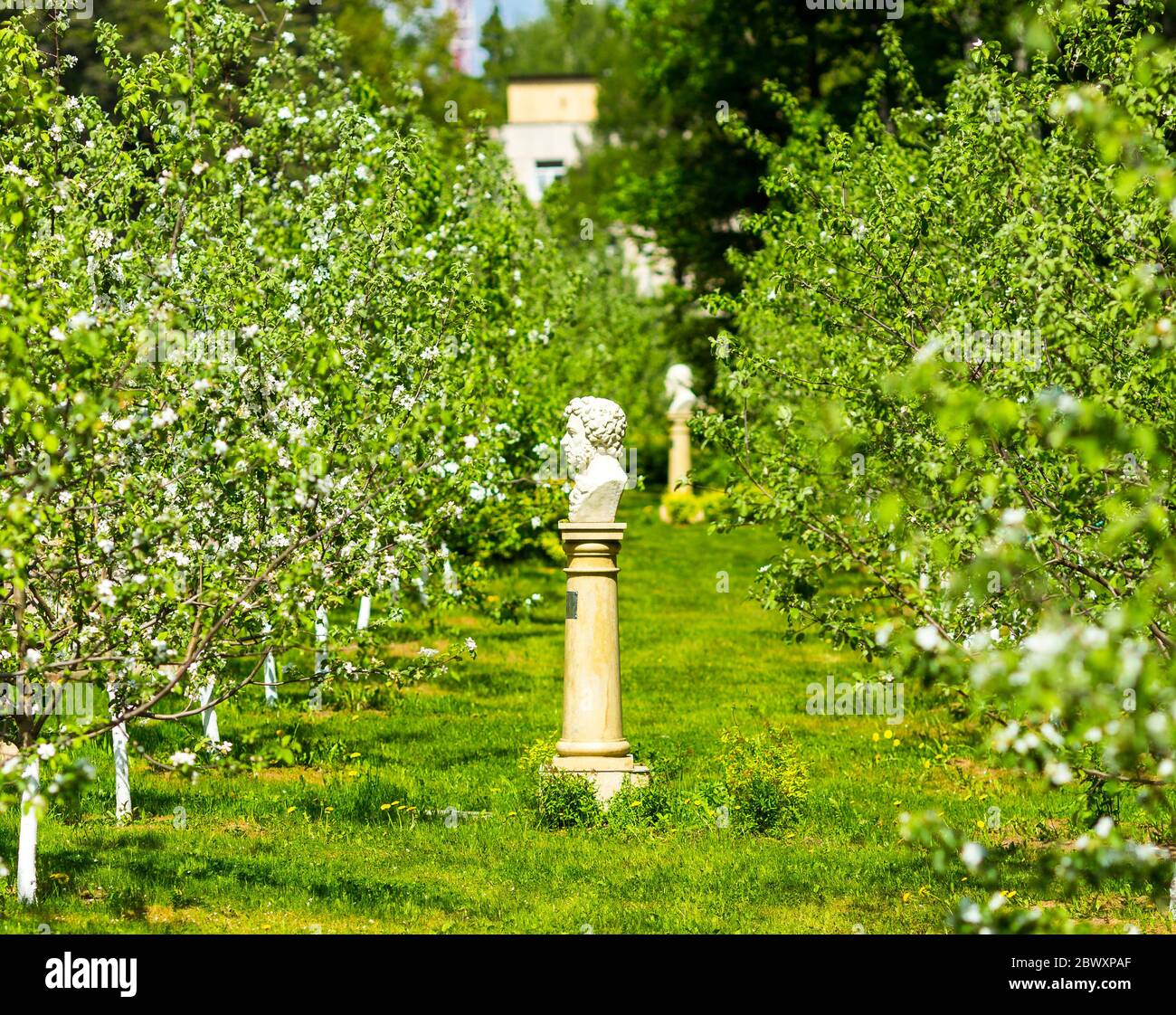 Beautiful spring garden alley view with Pushkin statue and blooming ...