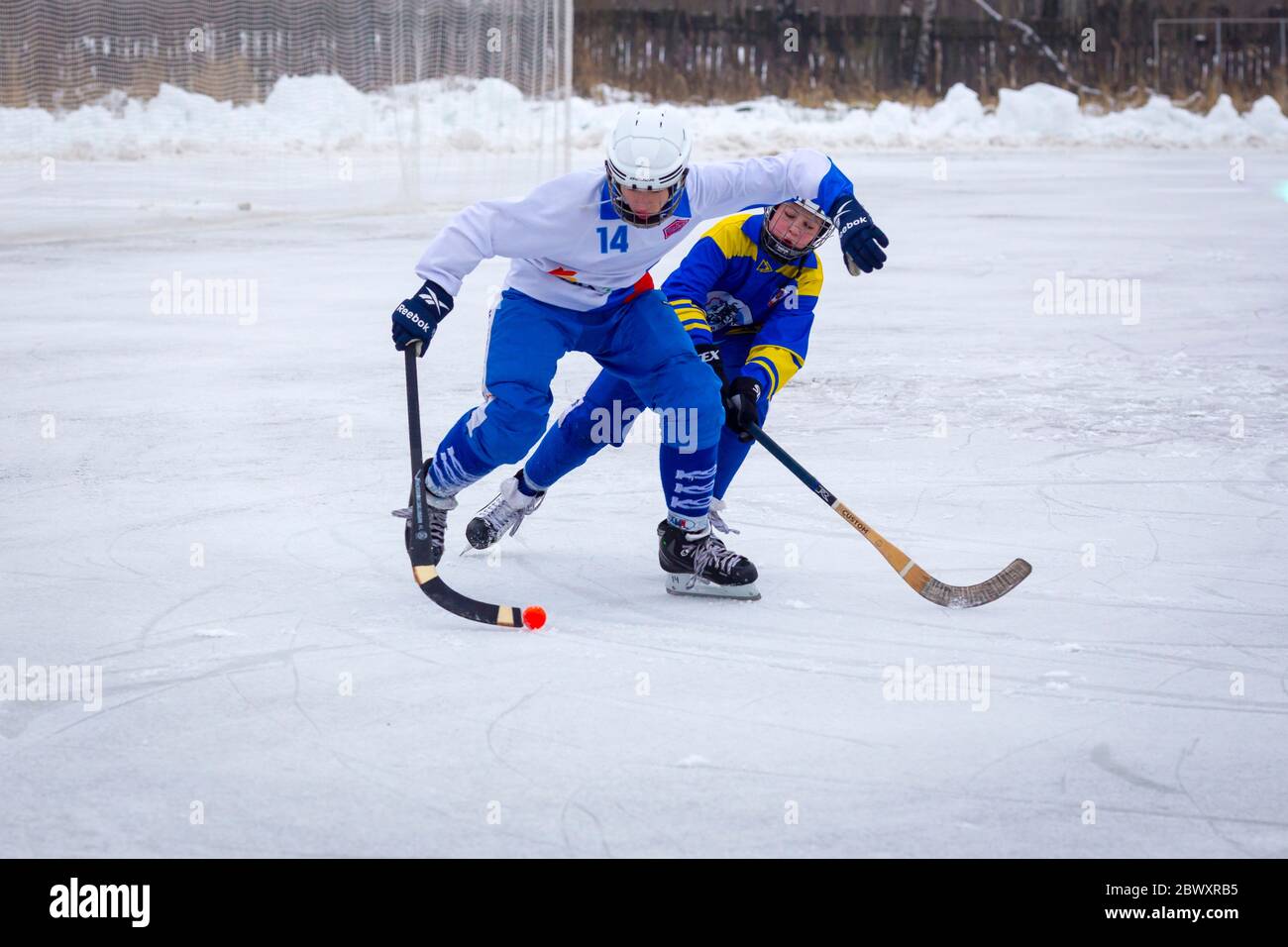 reebok bandy