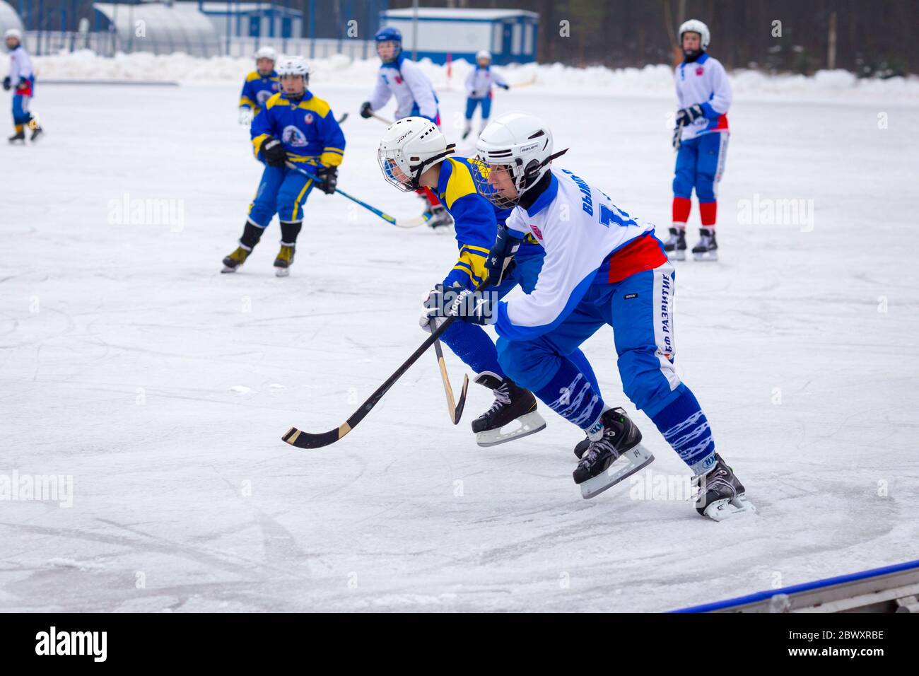 reebok bandy