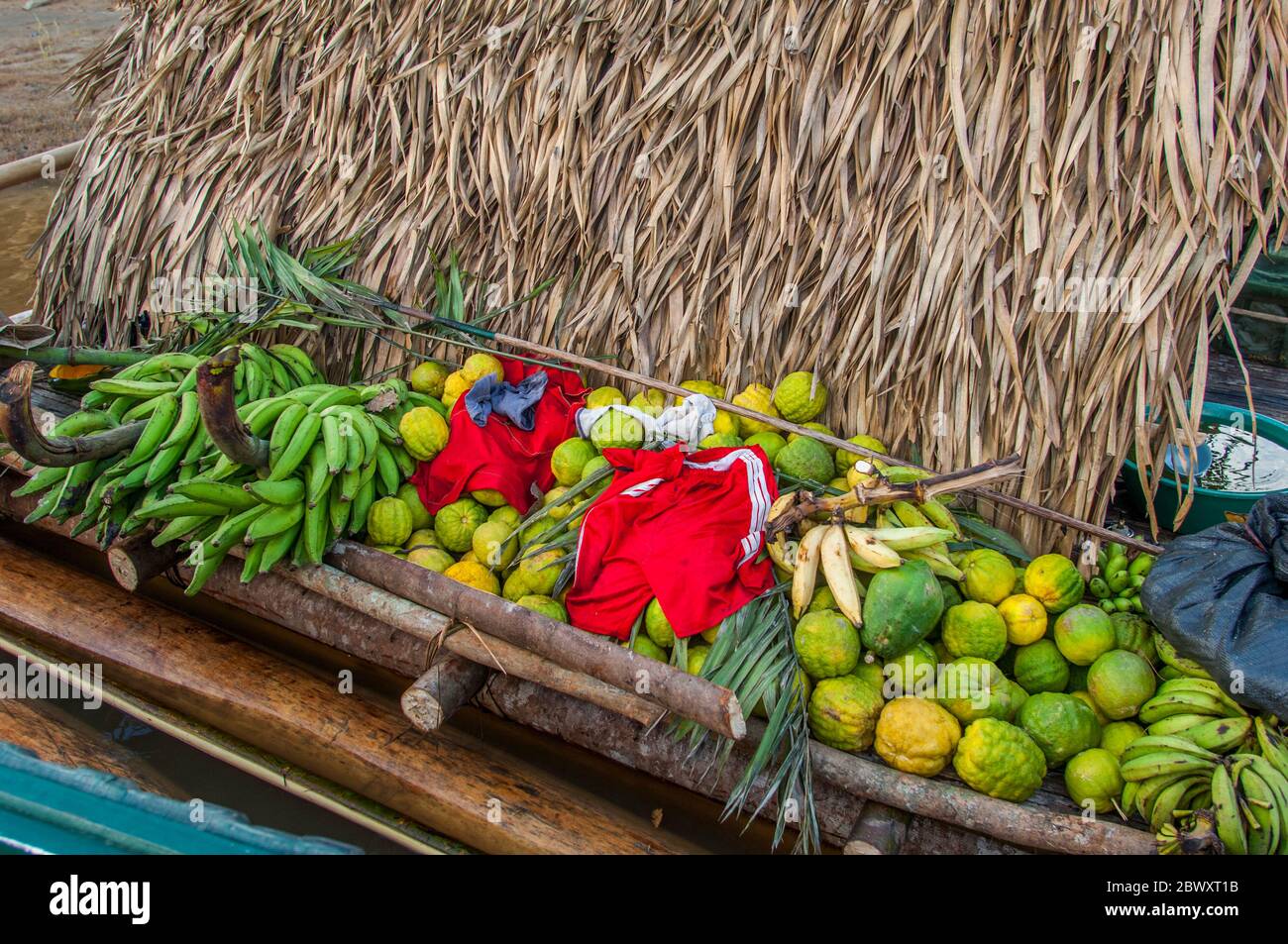 Fruit Tree Raft Fruit on a raft of a family traveling on the Maranon River in the ...