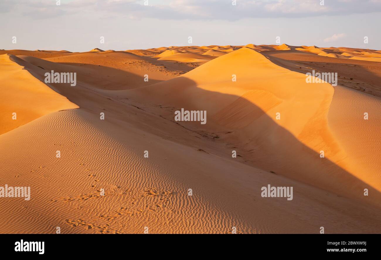 Red dunes of Wahiba Sands desert in Oman in warm late afternoon light Stock Photo
