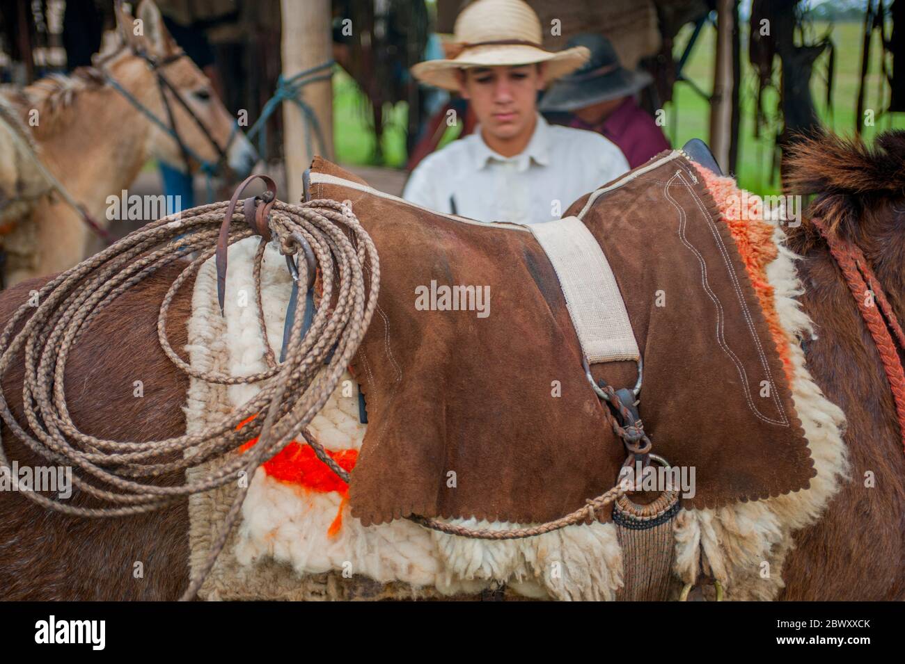 Peões pantaneiros tocando boiada com chicote de metal no Pantanal, Pantanal cowboys escorting the cattle with metal whip in Pantanal