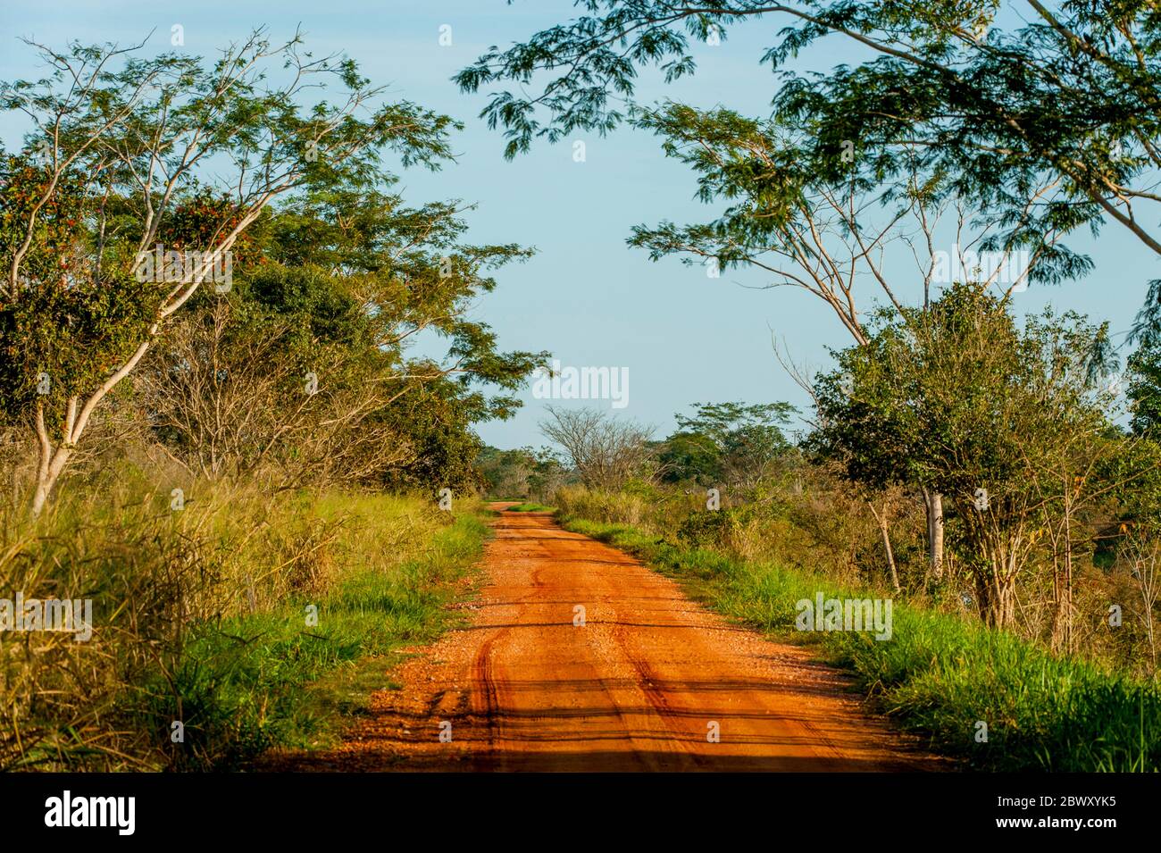 A gravel road at San Francisco Ranch in the Pantanal in Brazil Stock ...