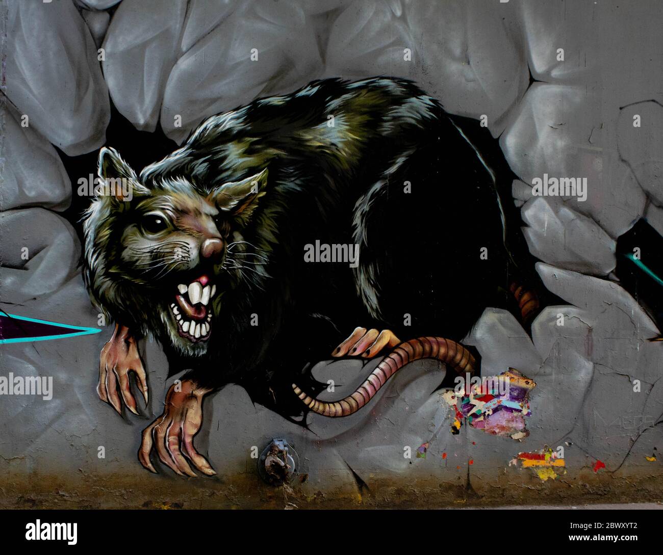 rat graffiti street art, leicester uk, unknown artist Stock Photo Alamy