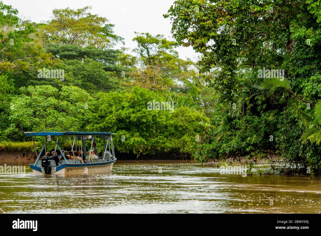 Tourists watching the wildlife during a boat excursion at the Cano ...