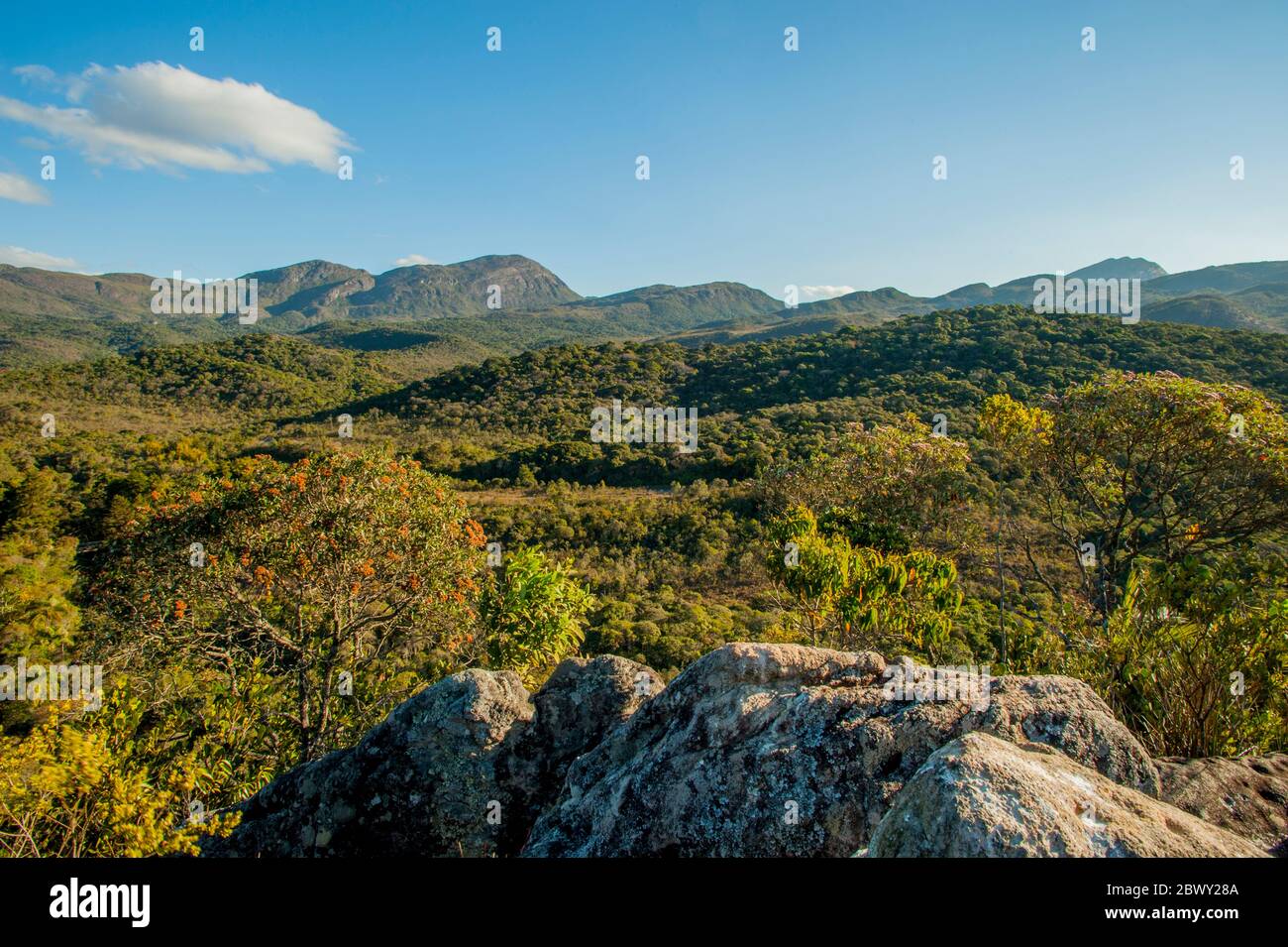 Overview of the transition zone between the coastal rainforest and savannah in Caraca, Minas Gerais in Brazil. Stock Photo
