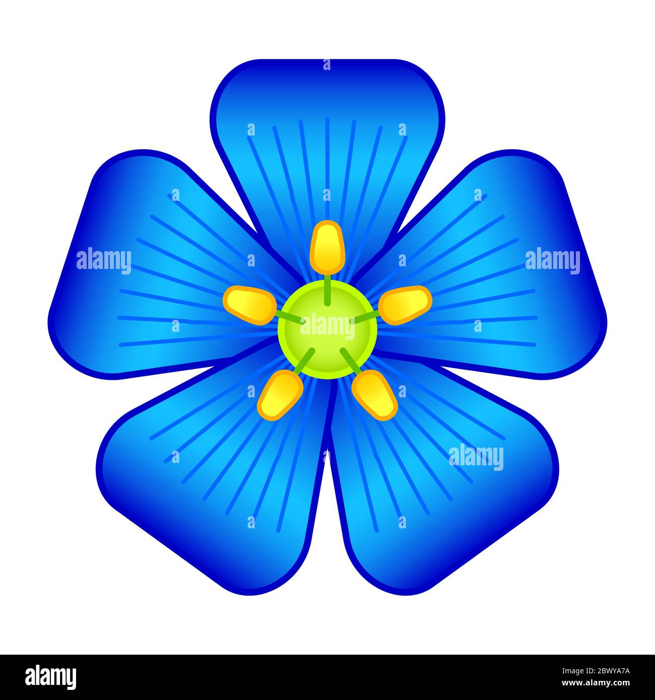 Illustration of the flax flower head Stock Vector