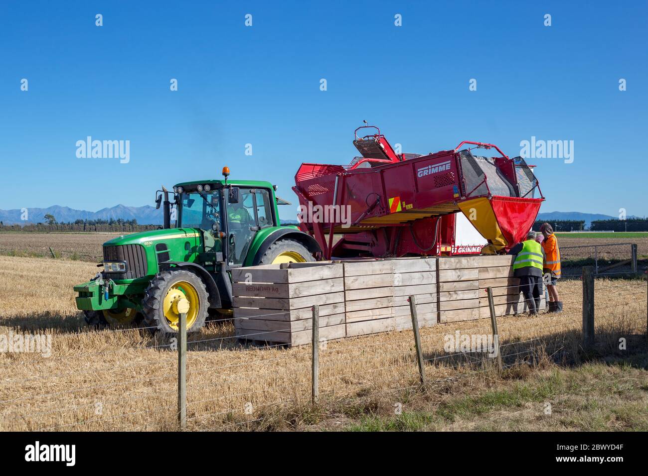 Darfield, Canterbury, New Zealand, March 12 2020: Potatoes unloaded from a Grimme harvester and loaded into bins Stock Photo