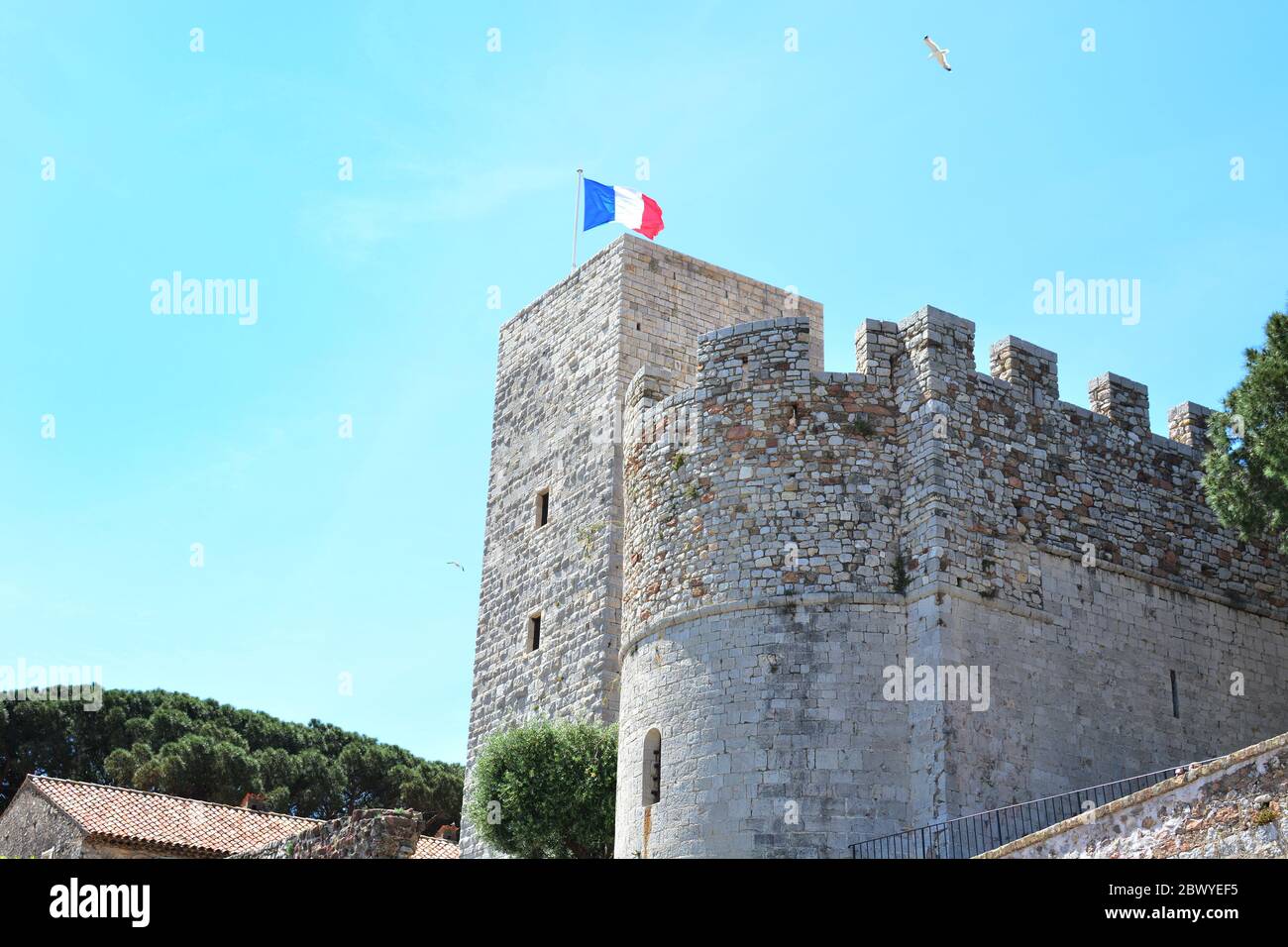 The city of Cannes in France. French national flag and seagull Stock