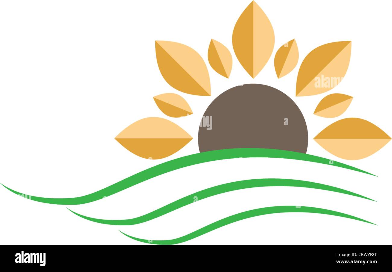 Sun Flower logo icon concept illustration Stock Vector Image & Art - Alamy