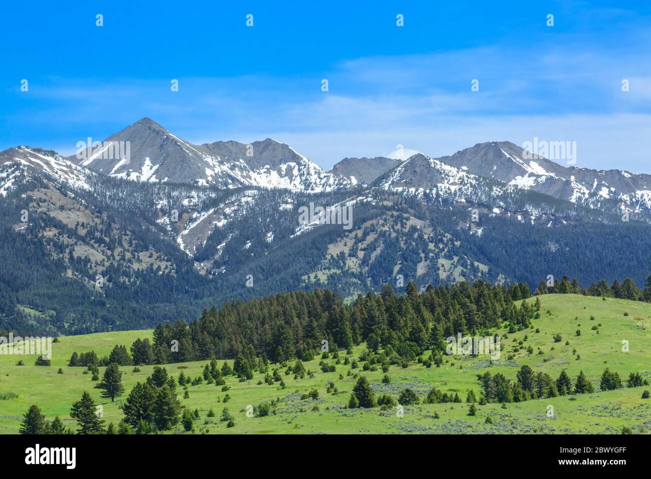 peaks of the crazy mountains above foothills in the daisy dean creek