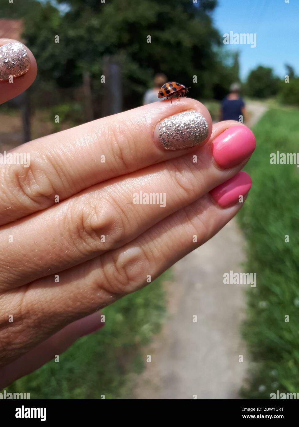 Ladybird on a woman's hand. Insect on your finger Stock Photo - Alamy