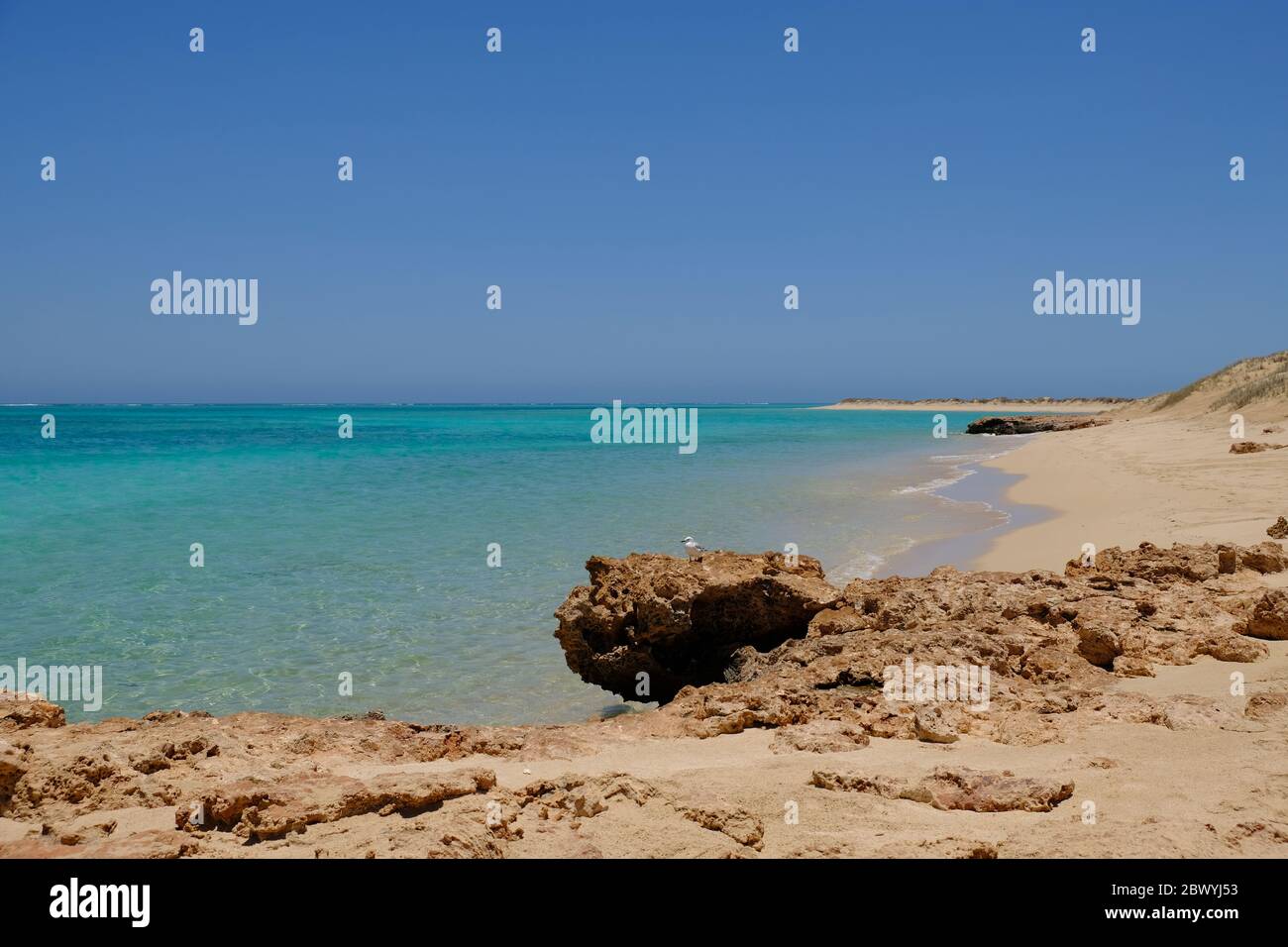 Western Australia Osprey Bay Campground rocky beach Stock Photo Alamy