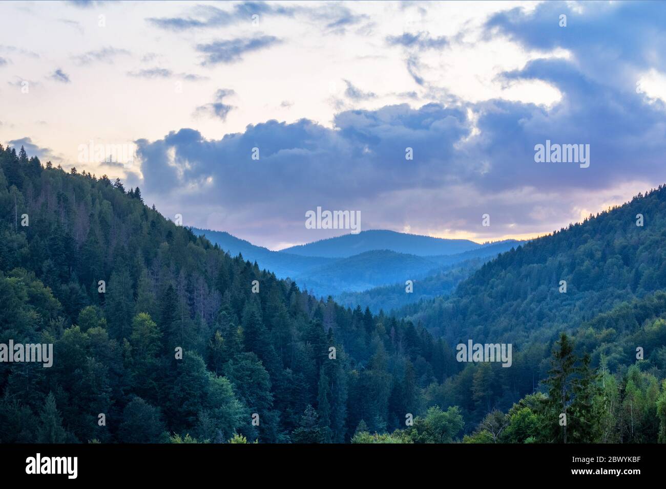 Landscape photo of forest early morning sky mountain hills, panoramic ...