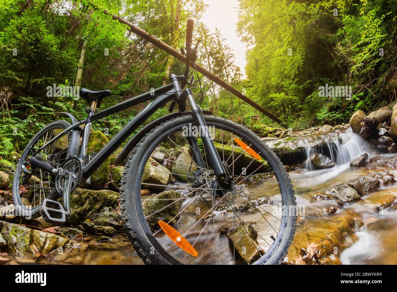 Photo of a mountain bike standing on a forest river stream landscape, wheel close-up view. Stock Photo