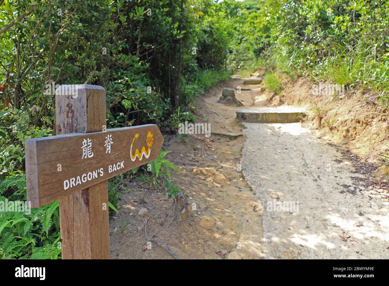 A wooden sign showing the route of the dragon's back hike in Hong Kong. Stock Photo