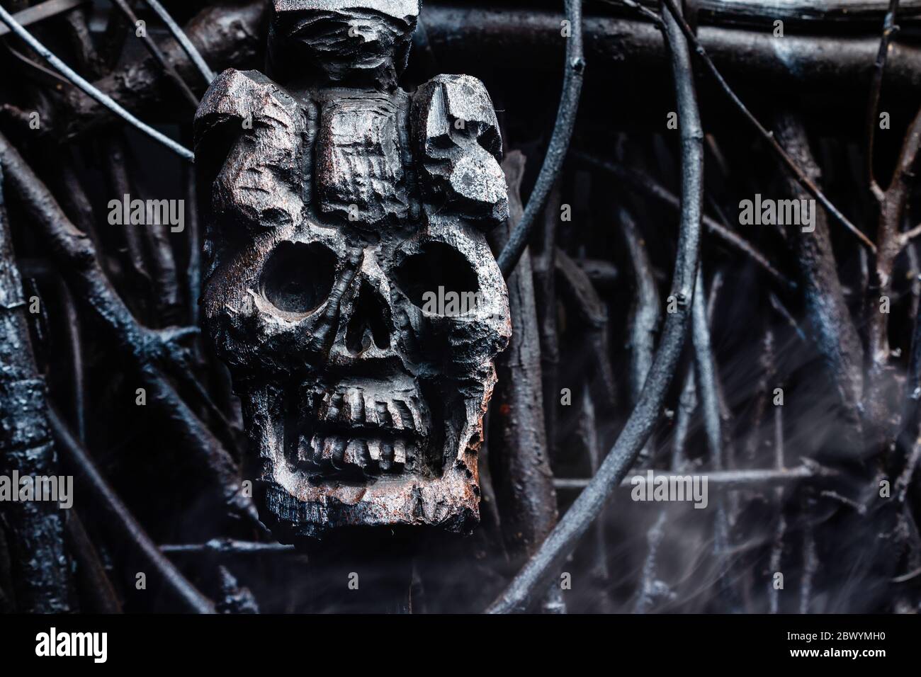 Close-up photo of a wooden witch skull cane standing in fog on a branches background. Stock Photo