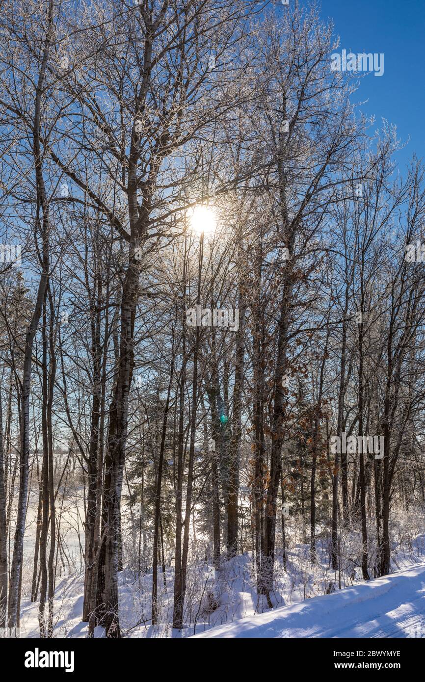The warmth of the sun on a frigid February morning in northern Wisconsin. Stock Photo