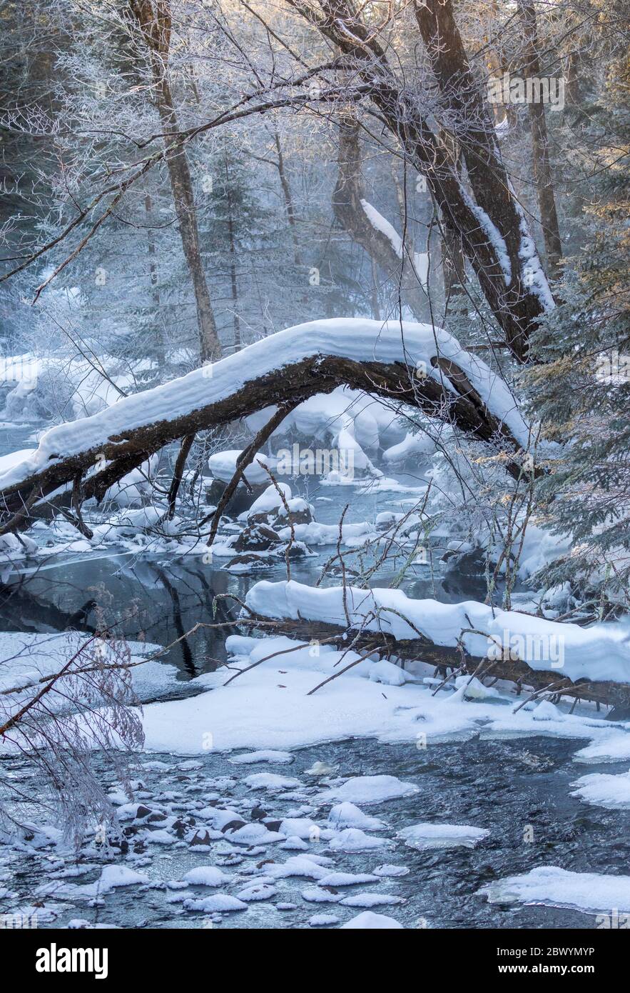 Stream filtered natural water hi-res stock photography and images - Alamy