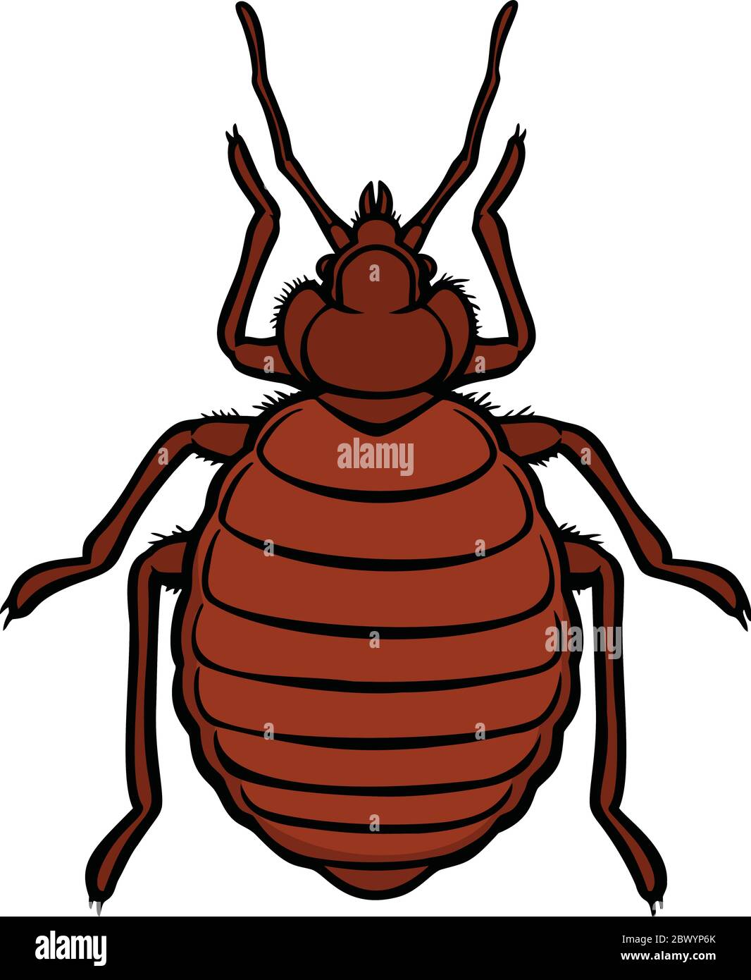 Bedbug Logo Bedbug Iconblack Icon Isolated Royalty Free Vector Image