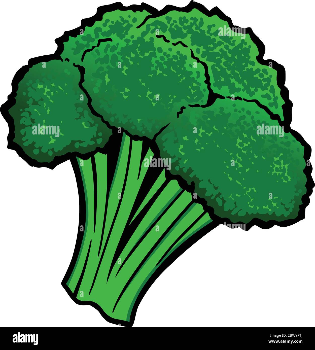 Broccoli - A cartoon illustration of Broccoli Stock Vector Image & Art -  Alamy